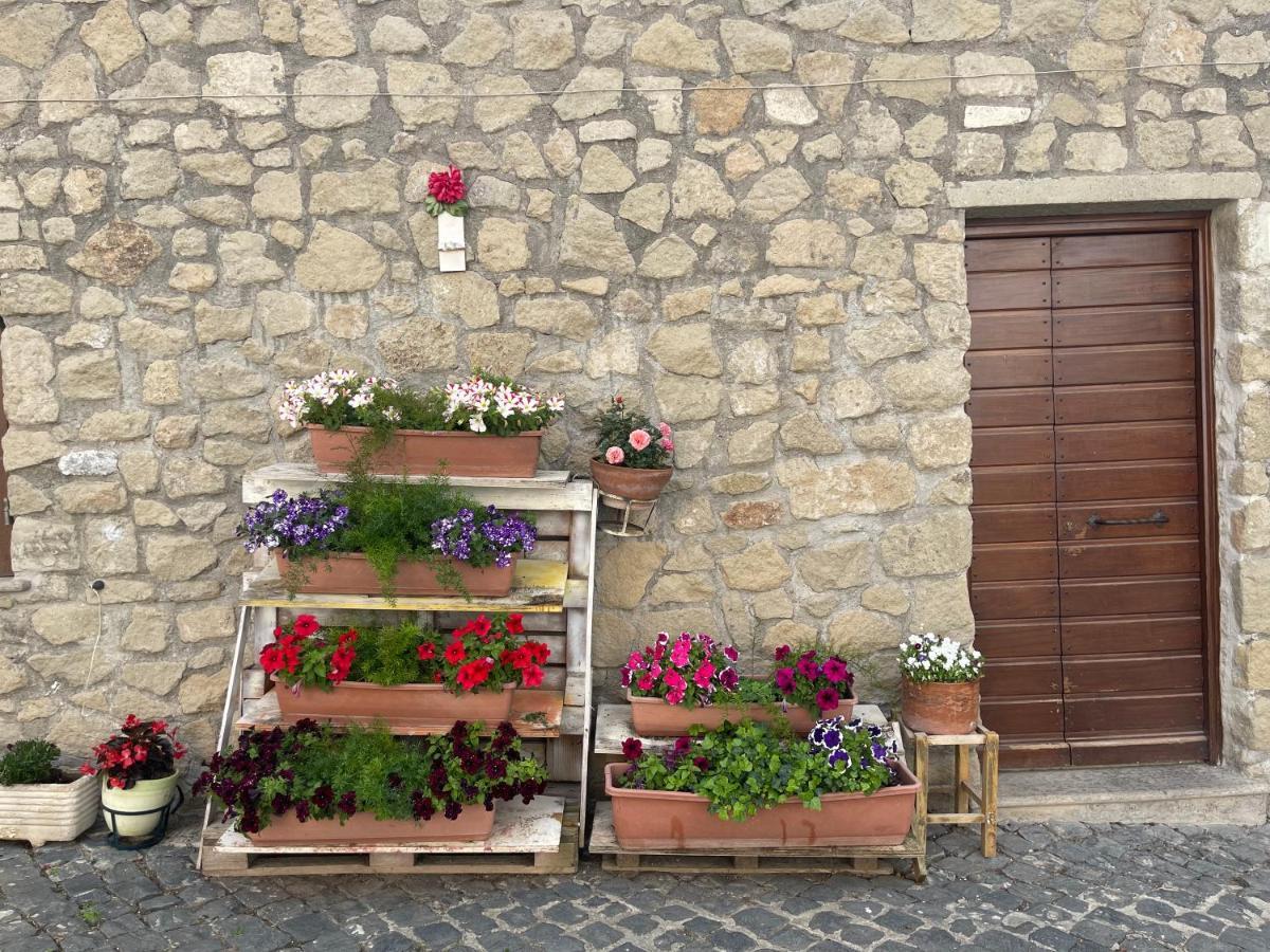 Luminoso Appartamento Sul Lago - Lake Court Anguillara Sabazia Eksteriør bilde